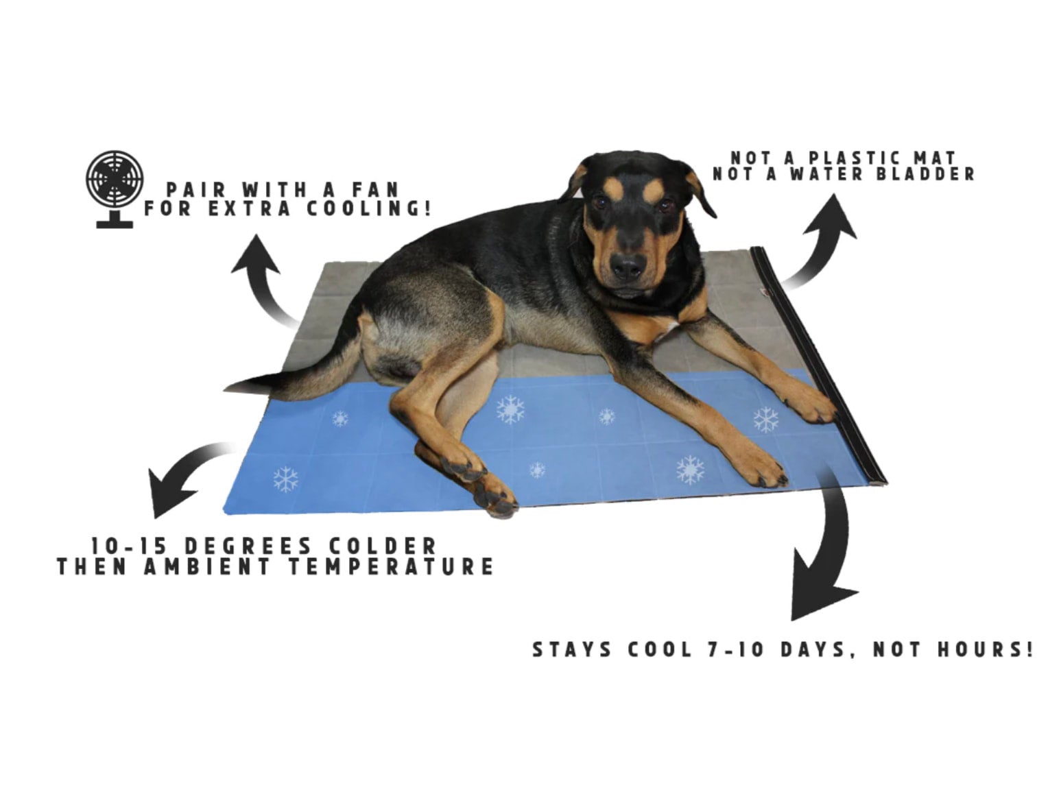 Dog cooling bed top