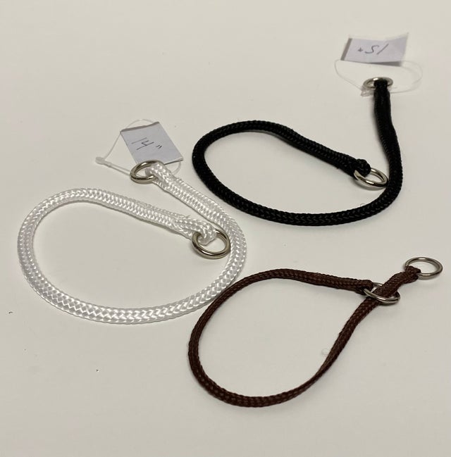 Dog Show Lead and Collars Continental Pet Company Dogs Do Smile